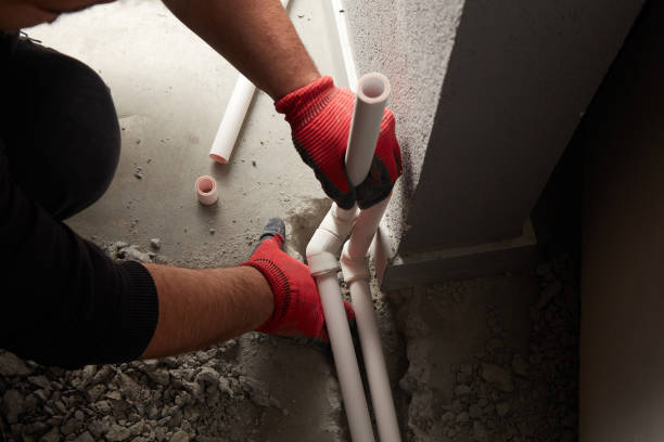 Best Commercial Plumbing Services  in Appleton City, MO