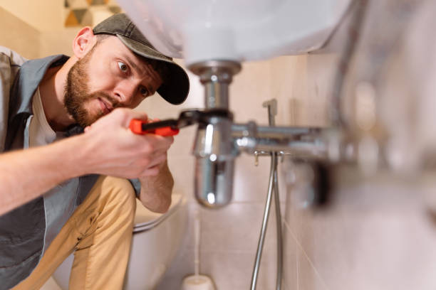 Best Commercial Plumbing Services  in Appleton City, MO
